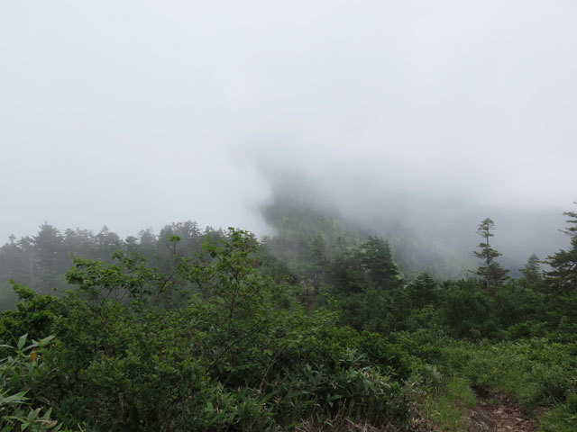 c0116856_07222136.jpg
