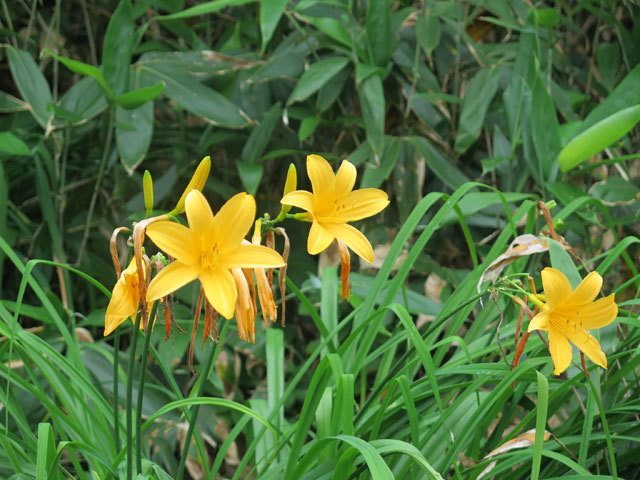 c0116856_07222631.jpg