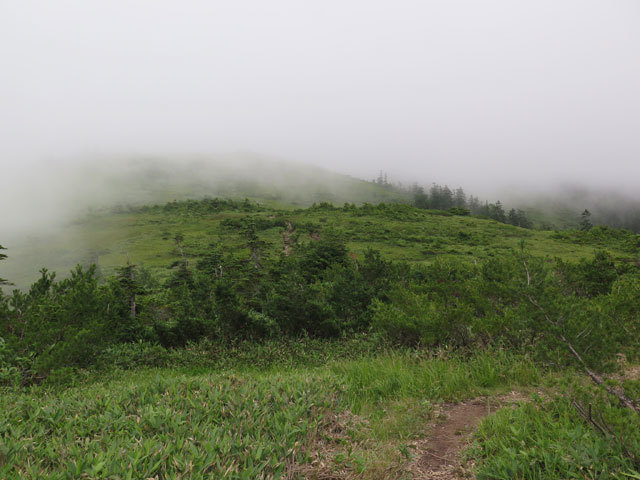 c0116856_07223105.jpg
