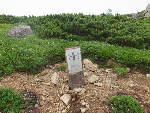 c0116856_21411470.jpg