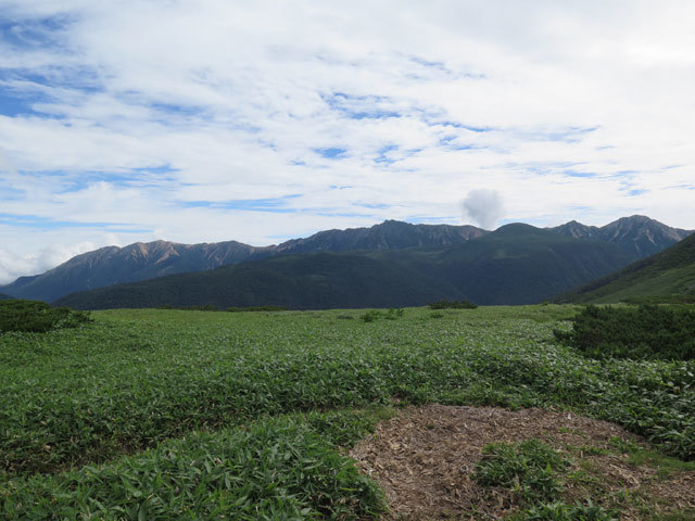 c0116856_21492401.jpg