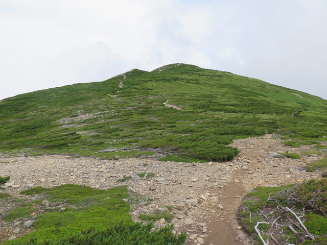 c0116856_21505976.jpg