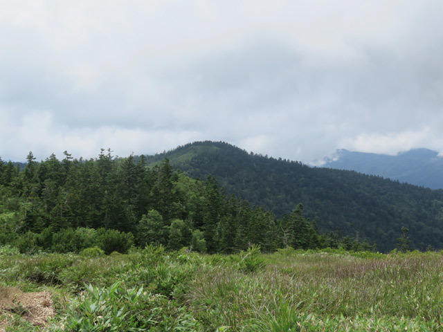 c0116856_21512215.jpg