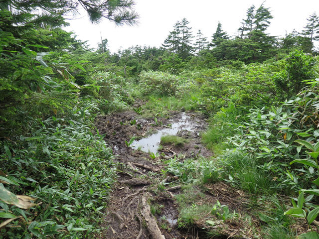 c0116856_21513016.jpg