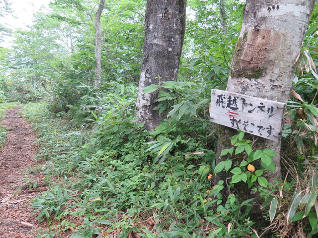 c0116856_21515299.jpg