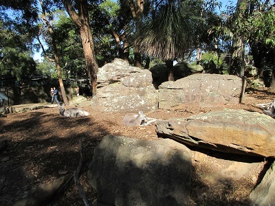 f0006356_16501021.jpg