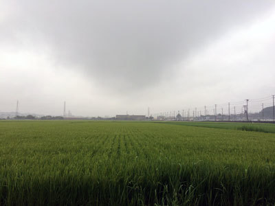c0050264_02300969.jpg