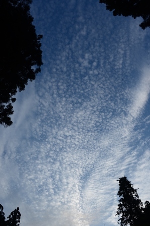 c0303868_05241565.jpg