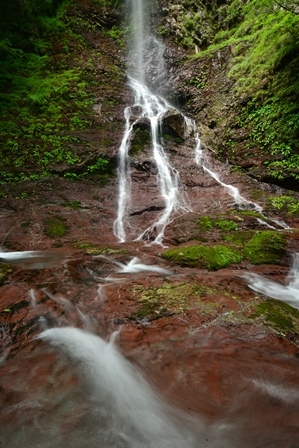 c0303868_05374800.jpg