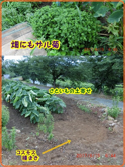 d0007071_21062739.jpg