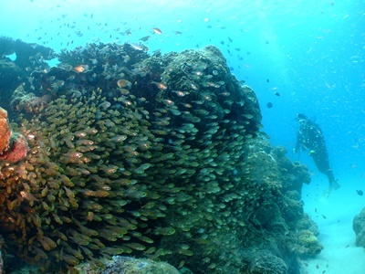 b0033573_20304084.jpg