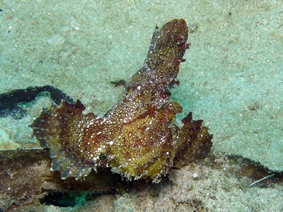 b0033573_20320440.jpg