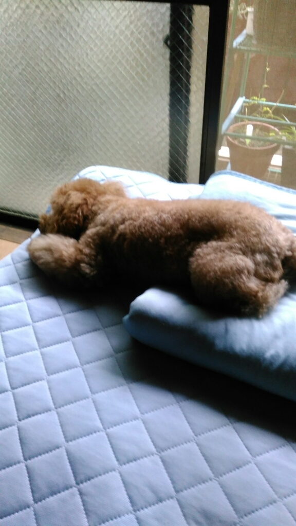 c0162773_01041297.jpg