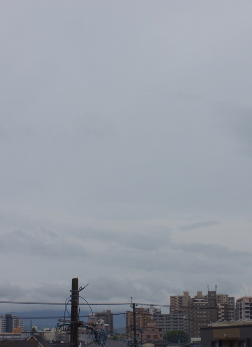 c0169176_756361.jpg