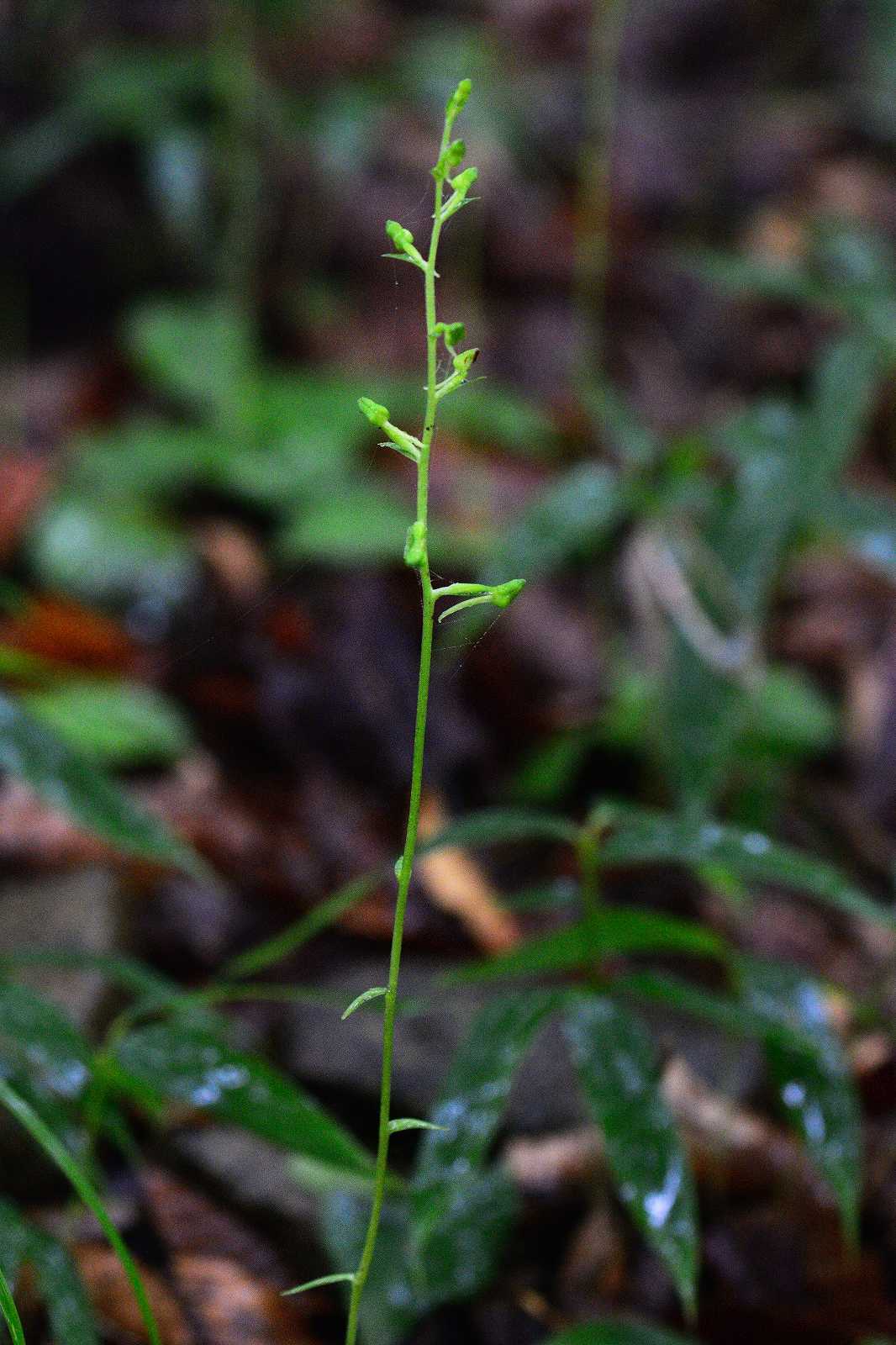 d0328977_16381518.jpg