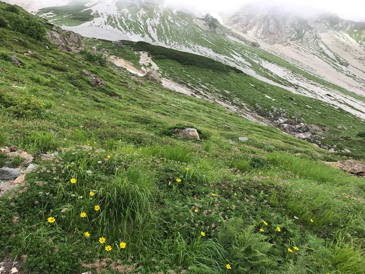 c0251882_21333532.jpg