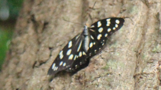 b0116883_09503946.jpg