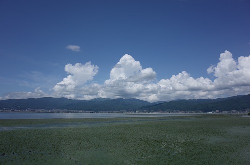 b0119493_14395891.jpg