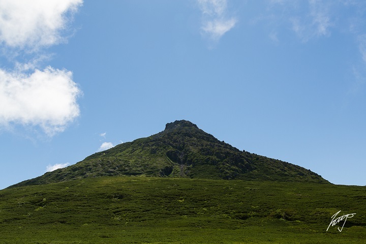 d0198793_15091167.jpg