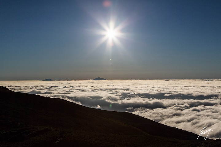 d0198793_15250224.jpg