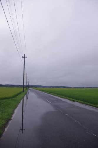c0337494_15383953.jpg
