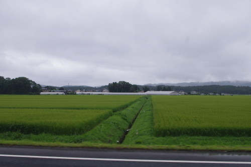 c0337494_15403639.jpg