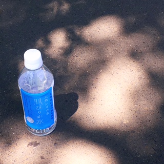 c0172698_2365177.jpg