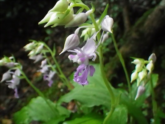 f0187402_17313505.jpg