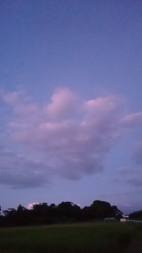e0351303_22002624.jpg