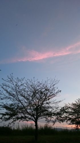 e0351303_22035640.jpg