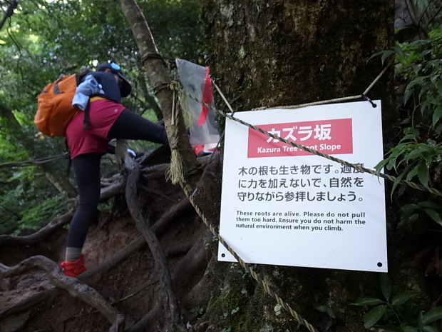 f0197703_11025291.jpg
