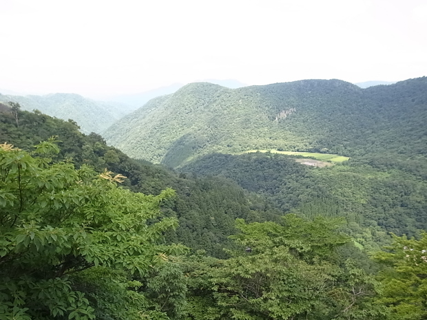 f0197703_11352795.jpg