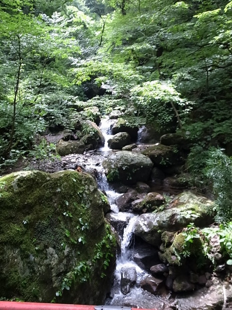 f0197703_11505236.jpg