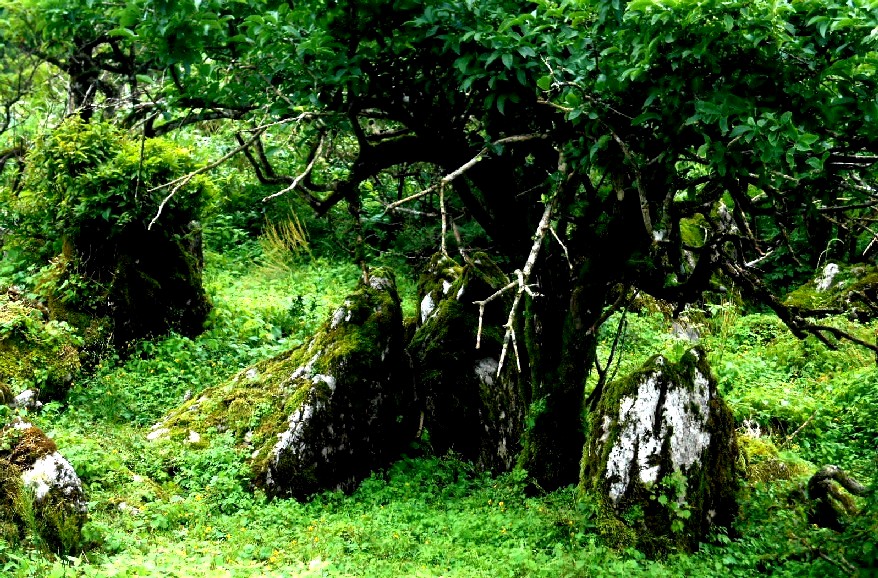 d0140806_11275593.jpg