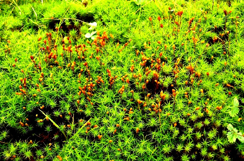 d0140806_11411165.jpg