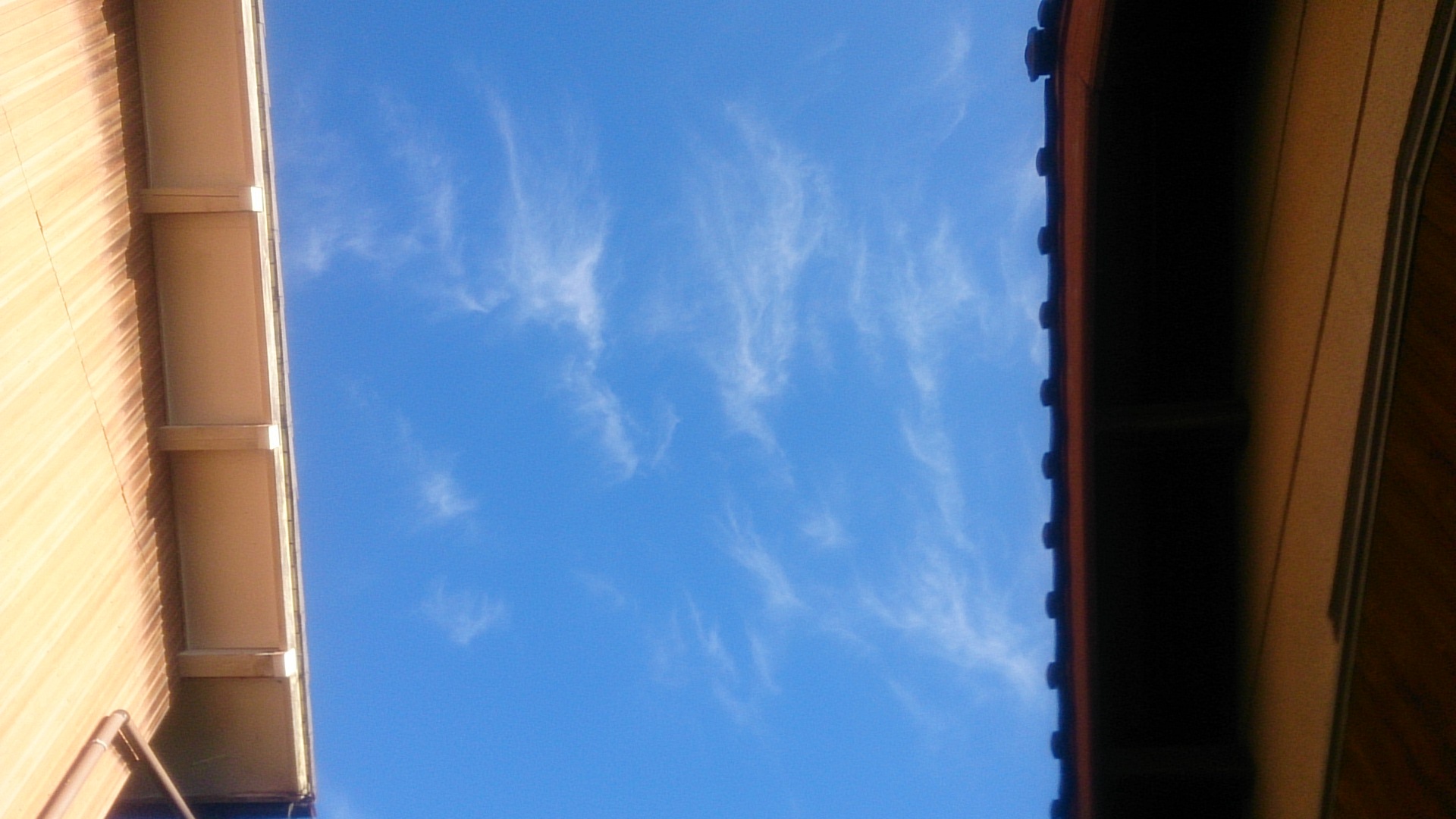 d0237309_21573389.jpg