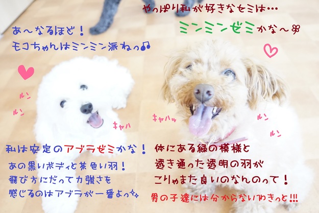 d0220513_13192012.jpg