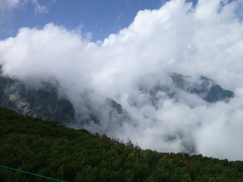 d0170615_18275851.jpg