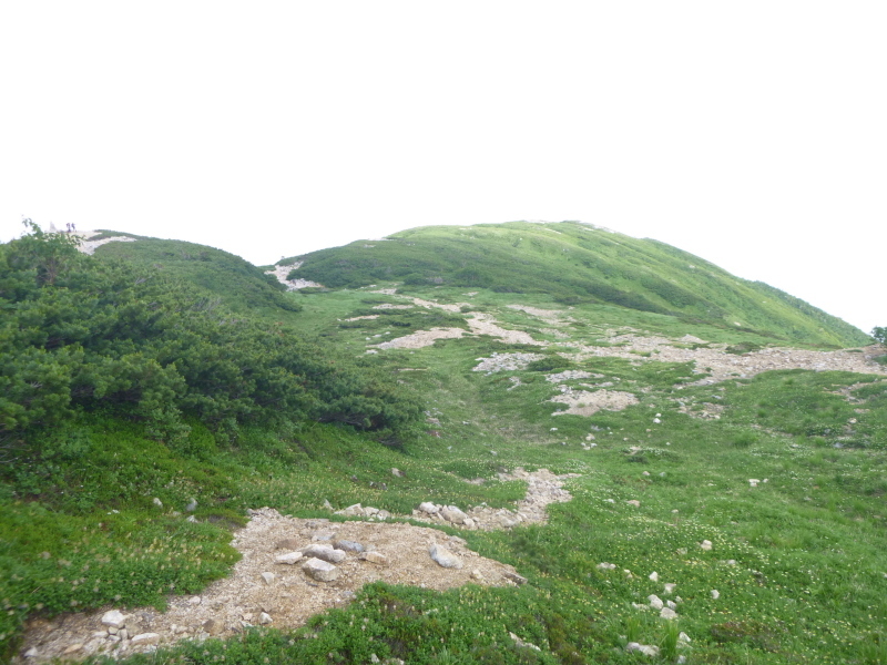 d0170615_18280719.jpg