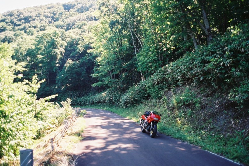 f0362725_17521639.jpg