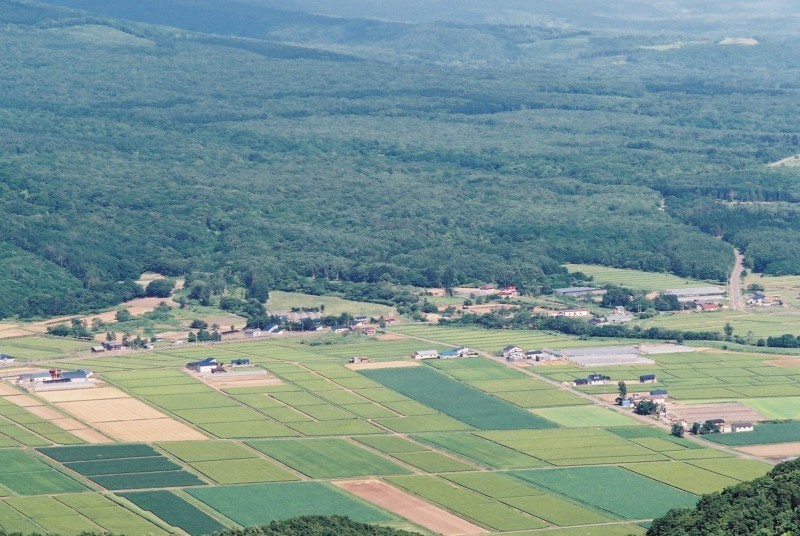 f0362725_17544611.jpg