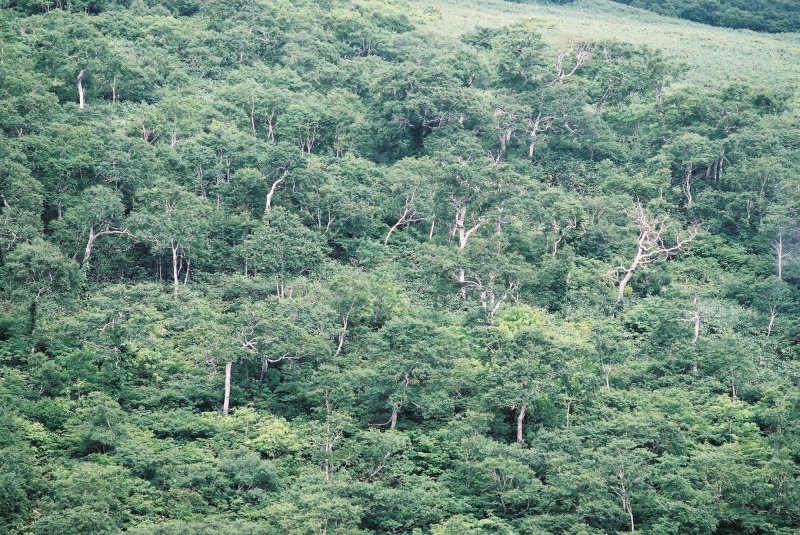 f0362725_18110549.jpg