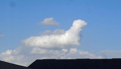 b0037926_17391697.jpg