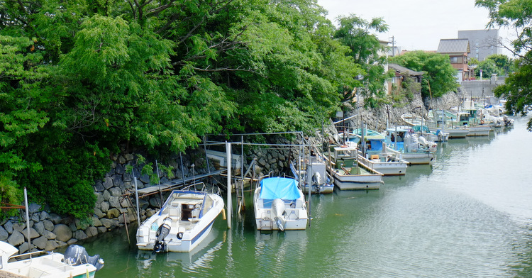 a0000029_945244.jpg