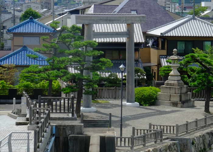 a0000029_9583363.jpg