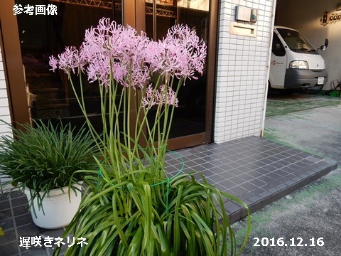 e0033229_18501959.jpg