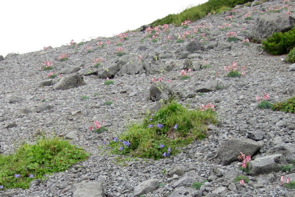 c0038434_10551352.jpg