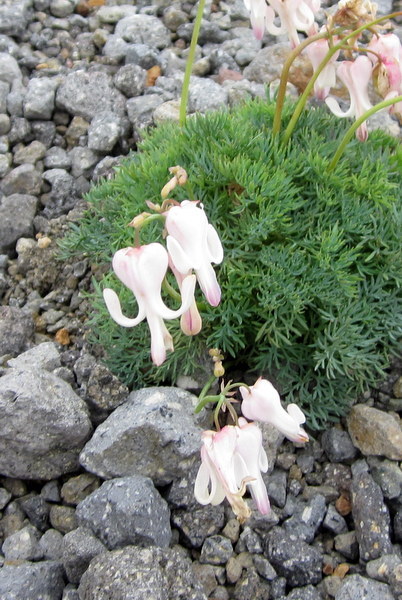 c0038434_10551758.jpg
