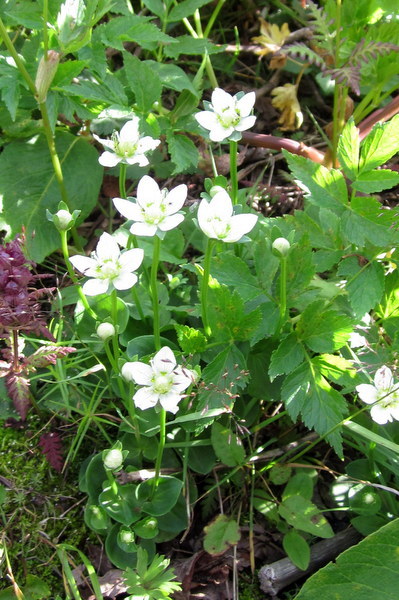 c0038434_10552008.jpg