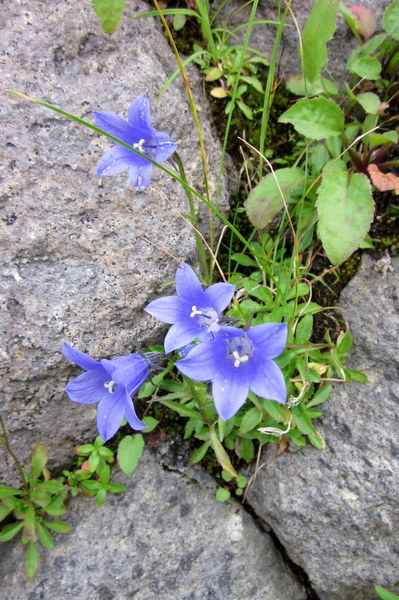c0038434_10553550.jpg